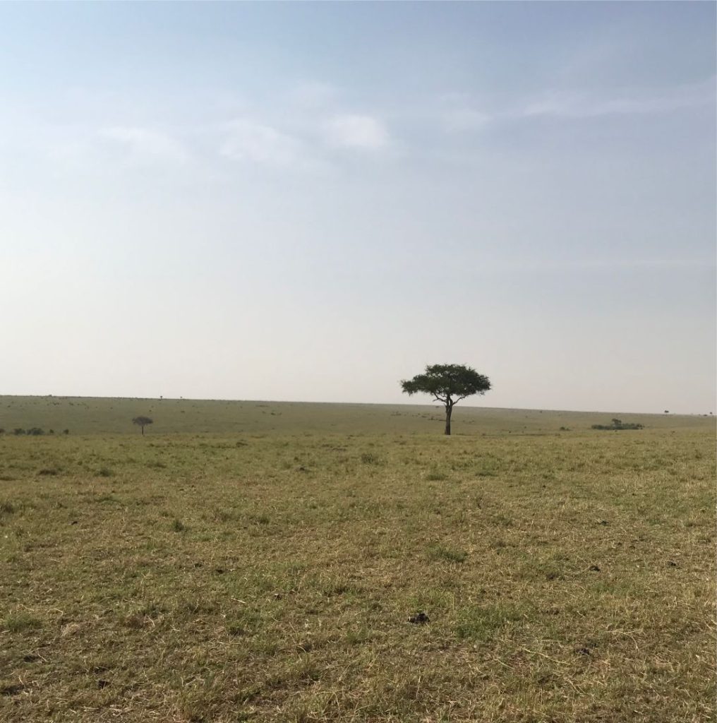 Nairobi national park