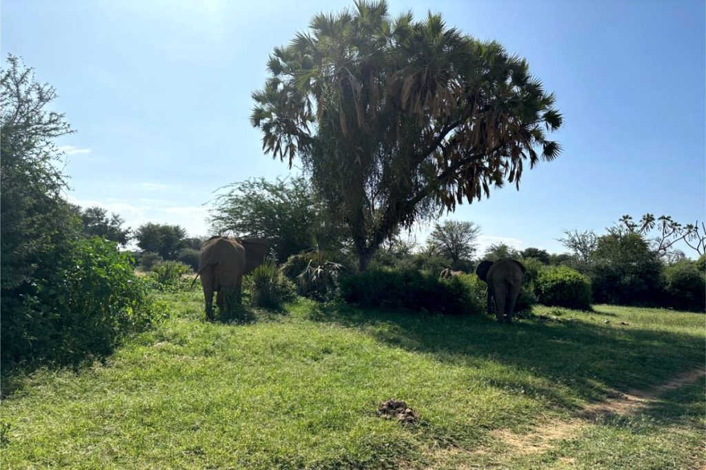 Aberdare National Park - Simply Green Worldwide