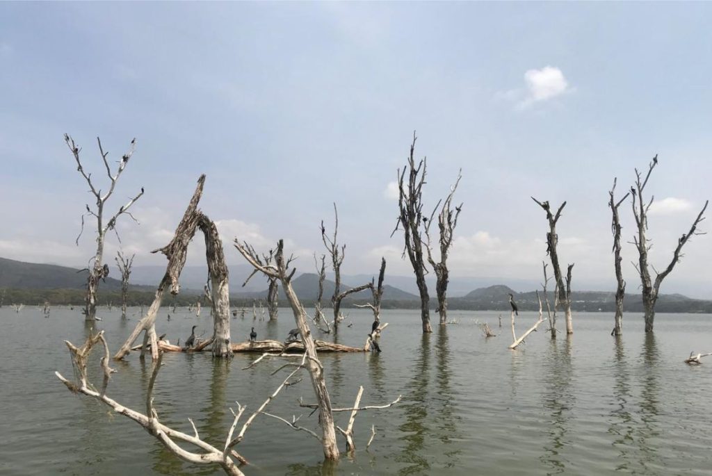 Lake Naivasha - Simply Green Worldwide