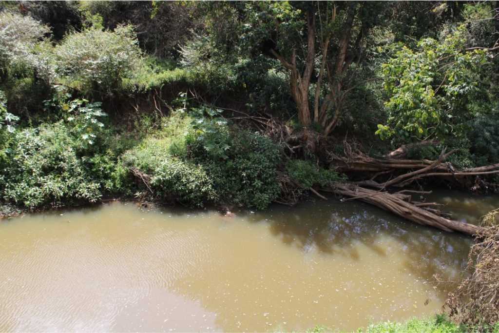 Nairobi National park river passing near Masai Lodge - Simply Green Worldwide